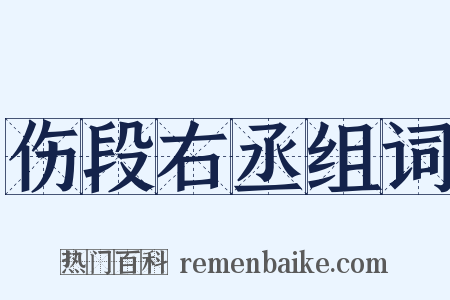 伤段右丞组词是什么意思的图片